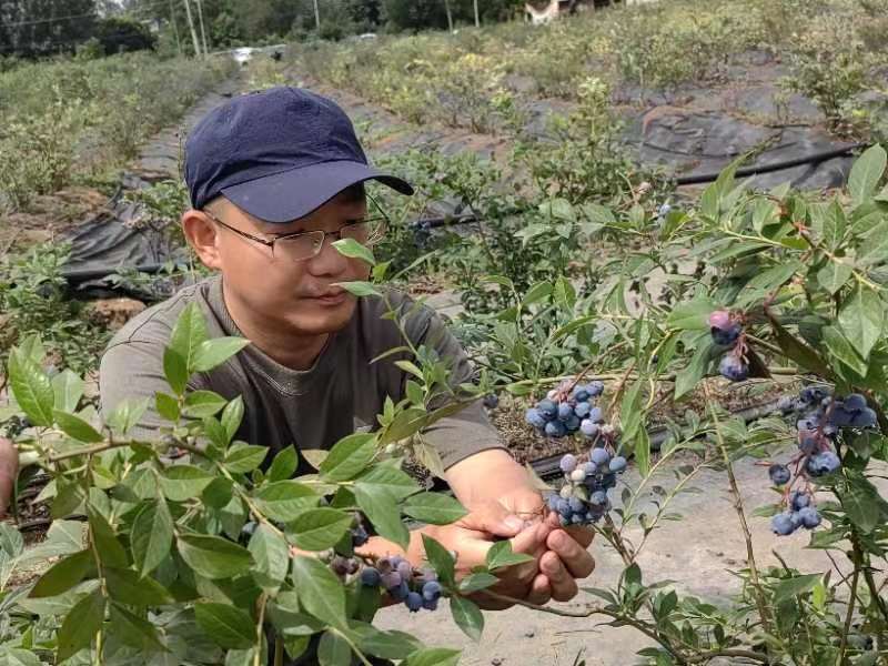 1686731384565283.jpg 1254203823.jpg