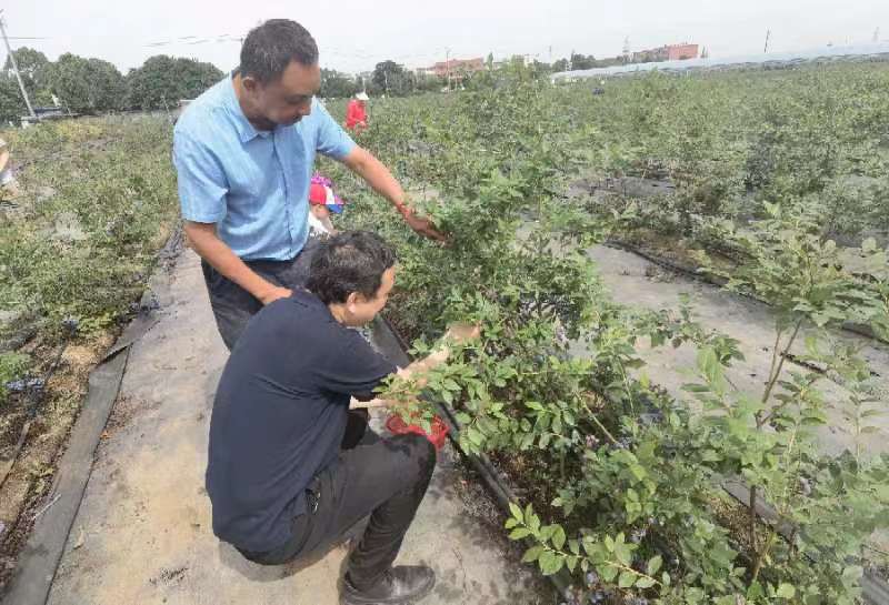 1686731410862329.jpg 1690203344.jpg