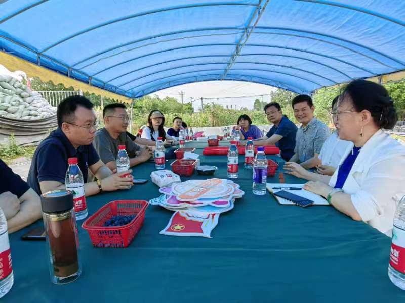 1686731436801469.jpg 1863009694.jpg